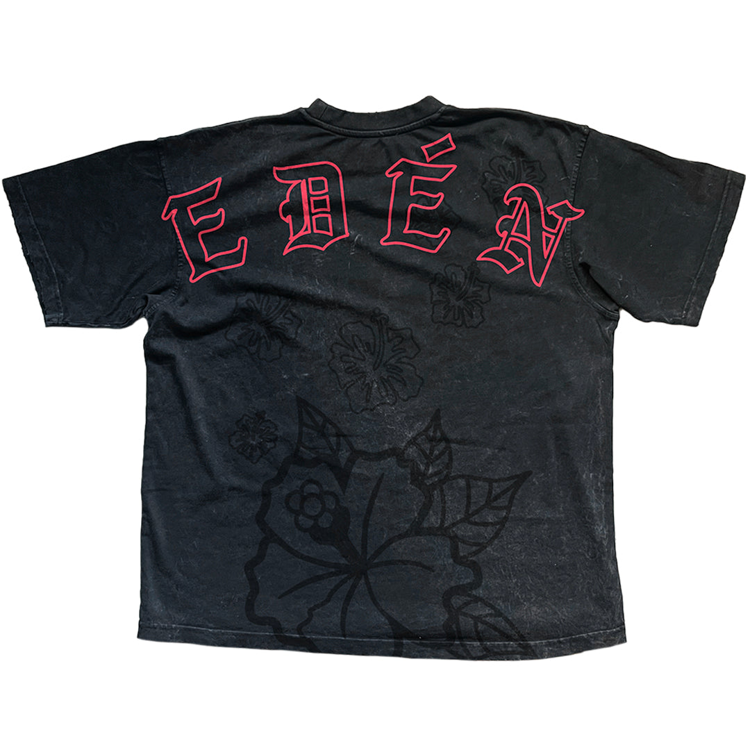 CABALLERO DEL TRÓPICO